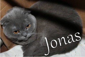 Bilder_Name/Jonas mit Name.jpg